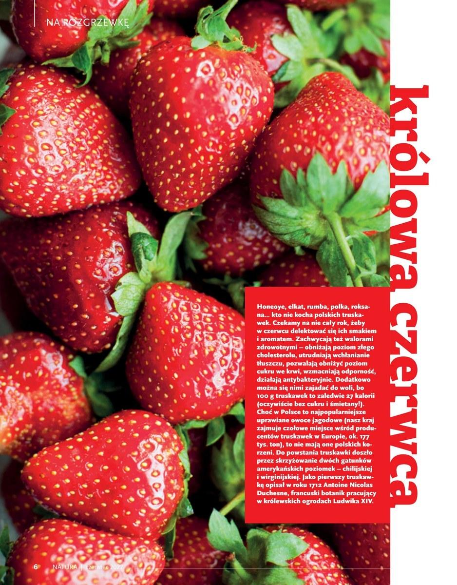 Gazetka promocyjna Drogerie Natura str. 6