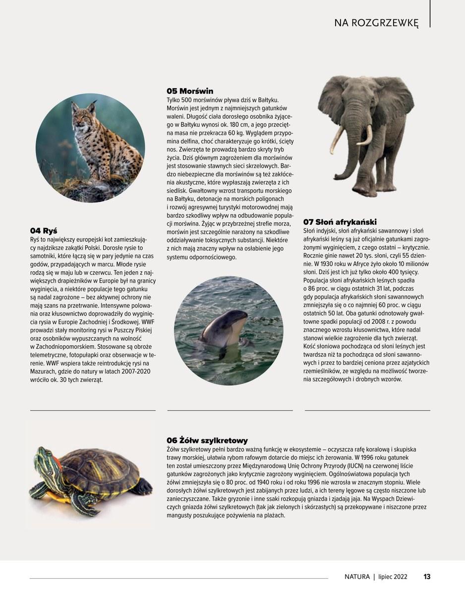 Gazetka promocyjna Drogerie Natura str. 13