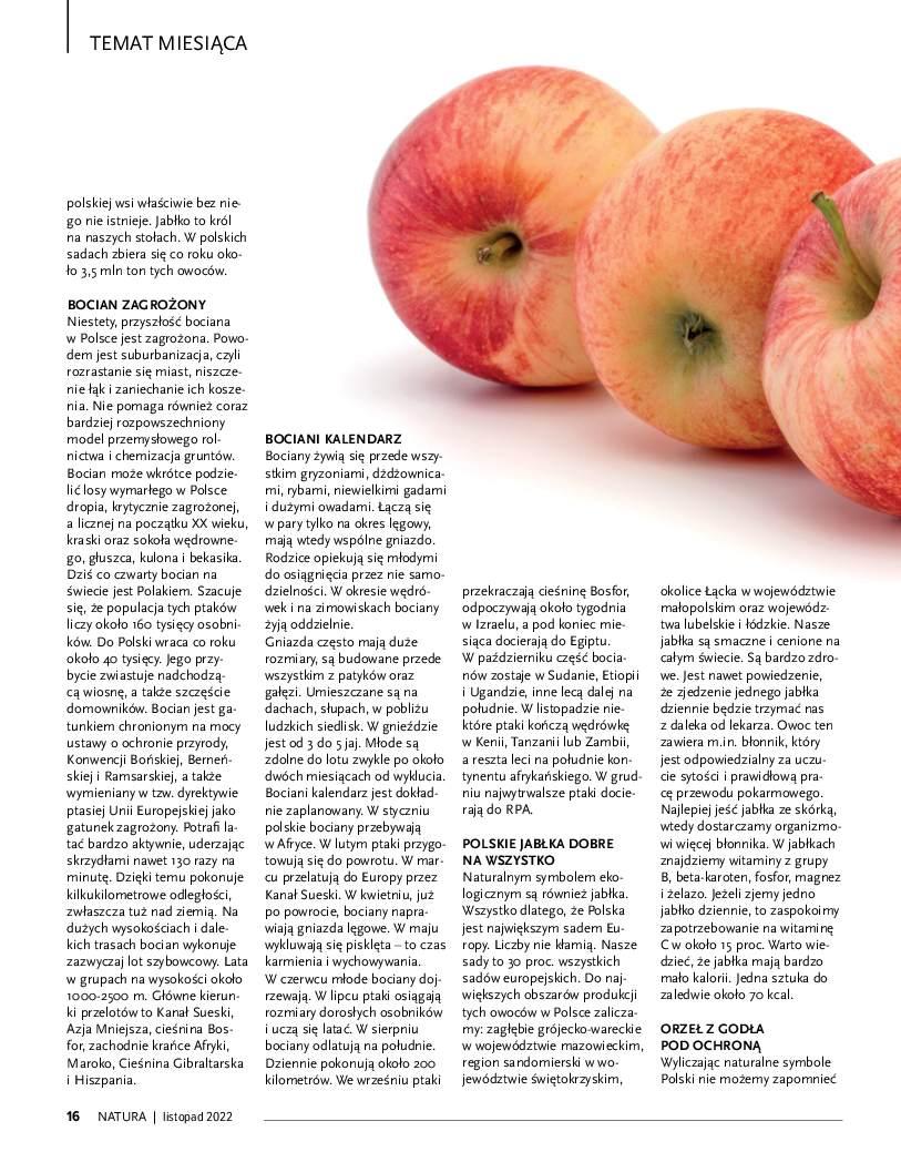 Gazetka promocyjna Drogerie Natura str. 16